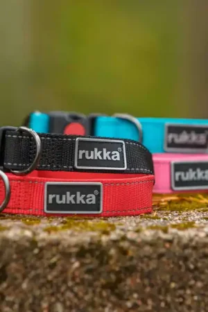 Rukka Pets Bliss collar Gecertificeerd